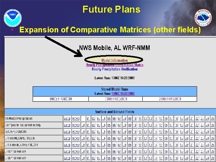 Future Plans • Expansion of Comparative Matrices (other fields) 