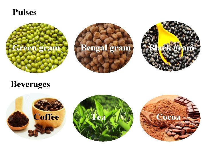 Pulses Green gram Bengal gram Black gram Beverages Coffee Tea Cocoa 