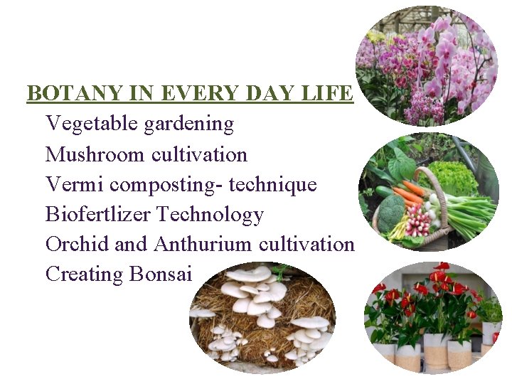 BOTANY IN EVERY DAY LIFE Vegetable gardening Mushroom cultivation Vermi composting- technique Biofertlizer Technology