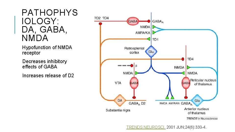 PATHOPHYS IOLOGY: DA, GABA, NMDA Hypofunction of NMDA receptor Decreases inhibitory effects of GABA