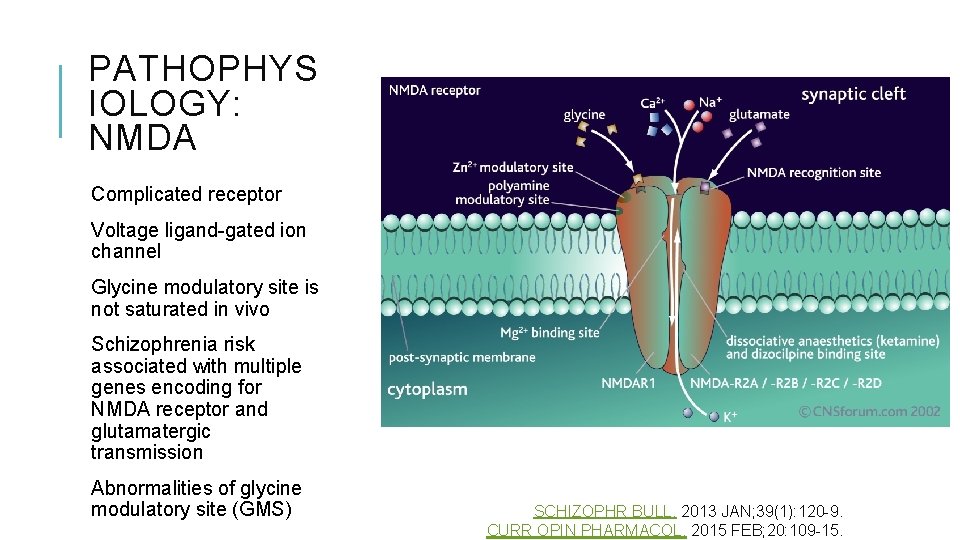 PATHOPHYS IOLOGY: NMDA Complicated receptor Voltage ligand-gated ion channel Glycine modulatory site is not