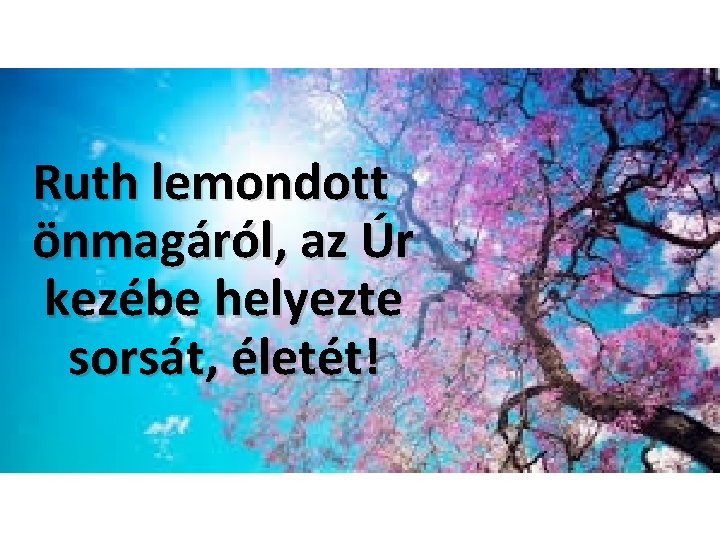 Ruth lemondott önmagáról, az Úr kezébe helyezte sorsát, életét! 