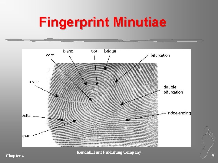 Fingerprint Minutiae Chapter 4 Kendall/Hunt Publishing Company 9 