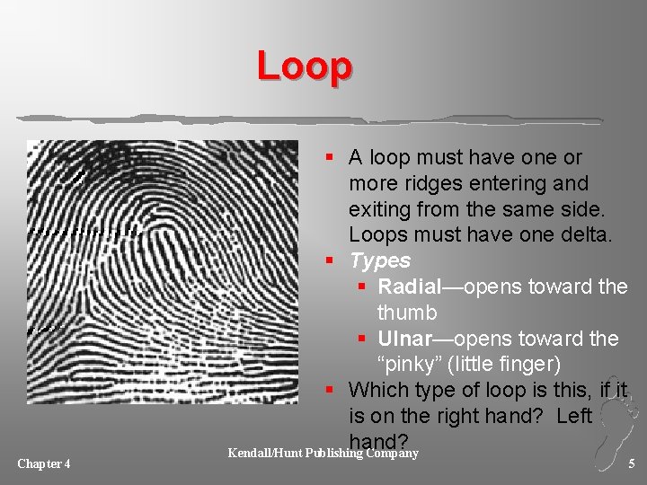 Loop Chapter 4 § A loop must have one or more ridges entering and