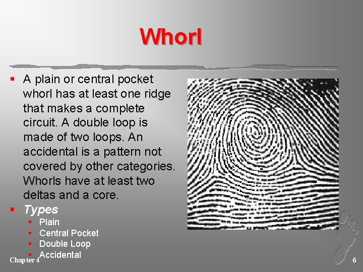 Whorl § A plain or central pocket whorl has at least one ridge that