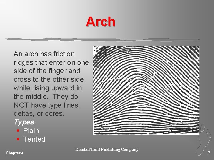 Arch An arch has friction ridges that enter on one side of the finger