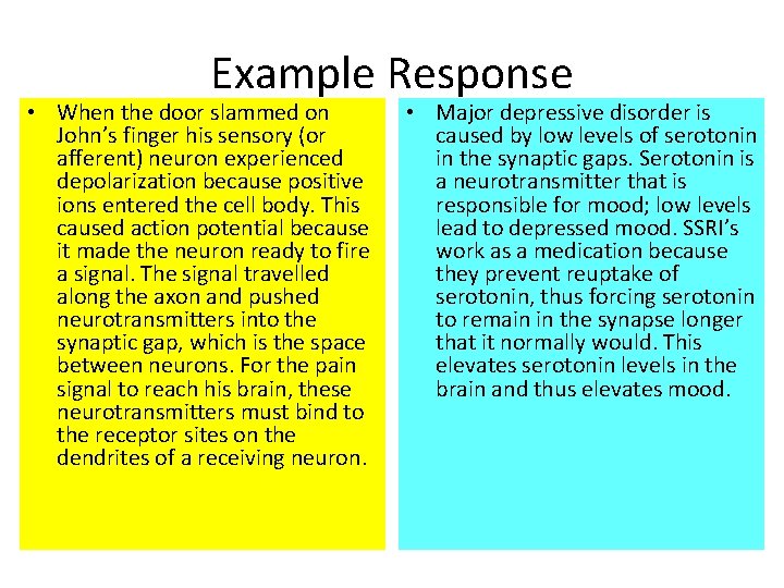 Example Response • When the door slammed on John’s finger his sensory (or afferent)