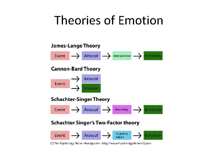 Theories of Emotion 