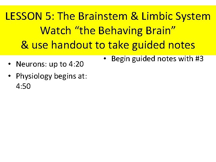 LESSON 5: The Brainstem & Limbic System Watch “the Behaving Brain” & use handout