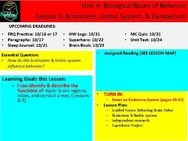 Unit 4: Biological Bases of Behavior Lesson 5: Brainstem, Limbic System, & Cerebellum UPCOMING