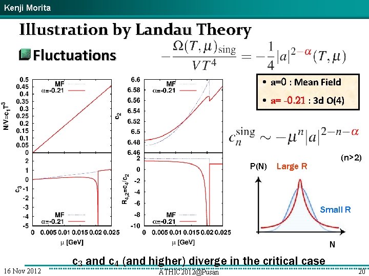 Kenji Morita Illustration by Landau Theory Fluctuations • a=0 : Mean Field • a=