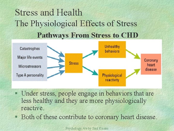 Stress and Health The Physiological Effects of Stress Pathways From Stress to CHD §