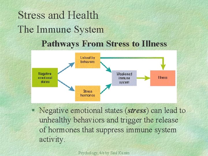 Stress and Health The Immune System Pathways From Stress to Illness § Negative emotional