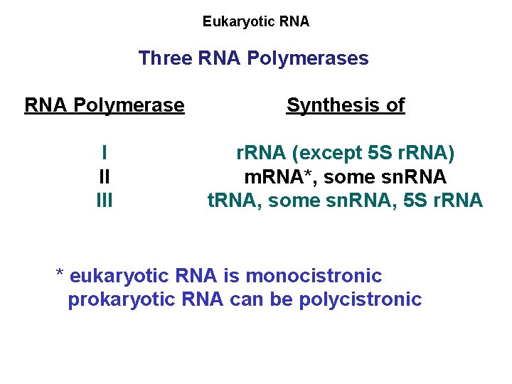 Eukaryotic RNA Three RNA Polymerases RNA Polymerase Synthesis of I II III r. RNA