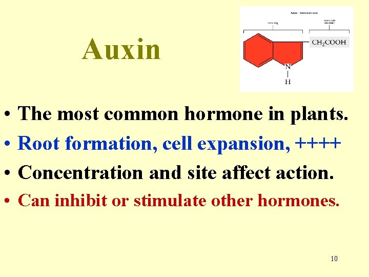 Auxin • The most common hormone in plants. • Root formation, cell expansion, ++++