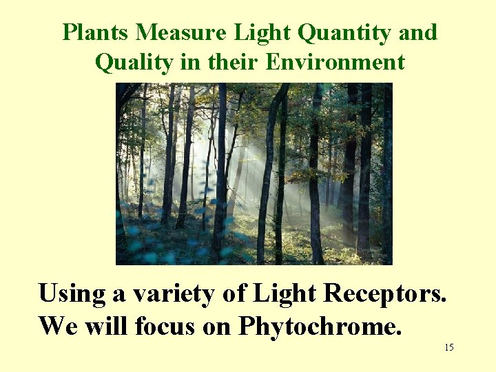 Plants Measure Light Quantity and Quality in their Environment Using a variety of Light