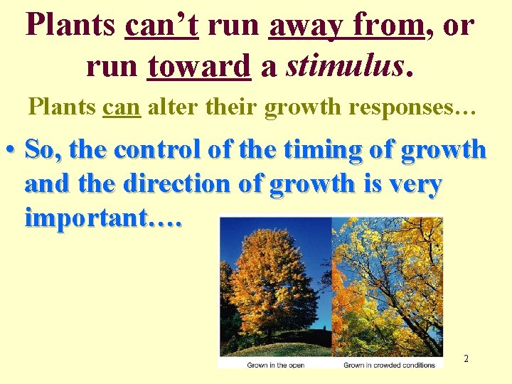 Plants can’t run away from, or run toward a stimulus. Plants can alter their