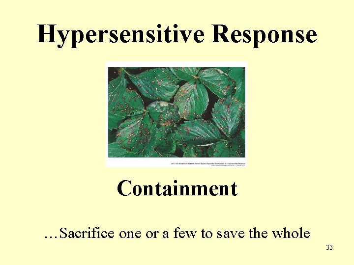 Hypersensitive Response Containment …Sacrifice one or a few to save the whole 33 