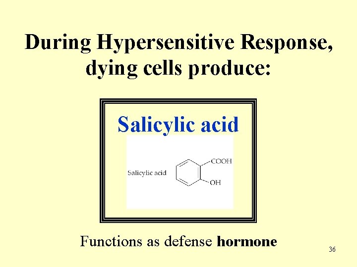 During Hypersensitive Response, dying cells produce: Salicylic acid Functions as defense hormone 36 