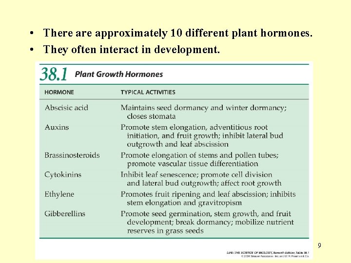  • There approximately 10 different plant hormones. • They often interact in development.