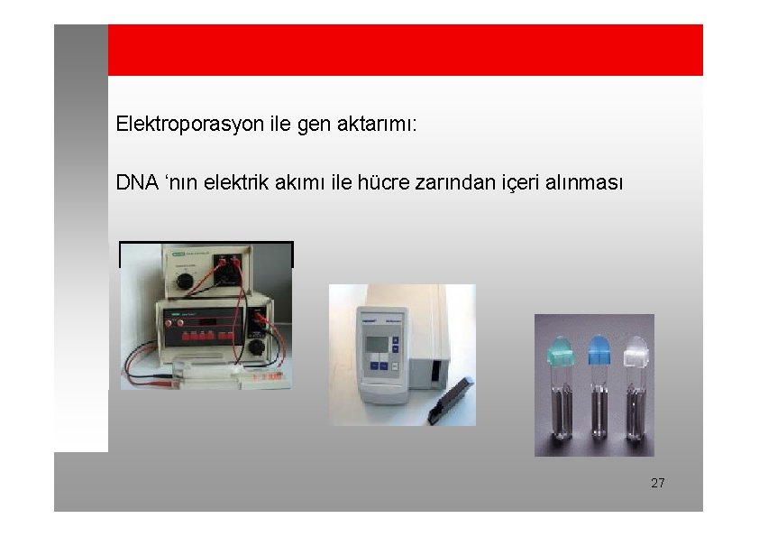 Elektroporasyon ile gen aktarımı: DNA ‘nın elektrik akımı ile hücre zarından içeri alınması 27