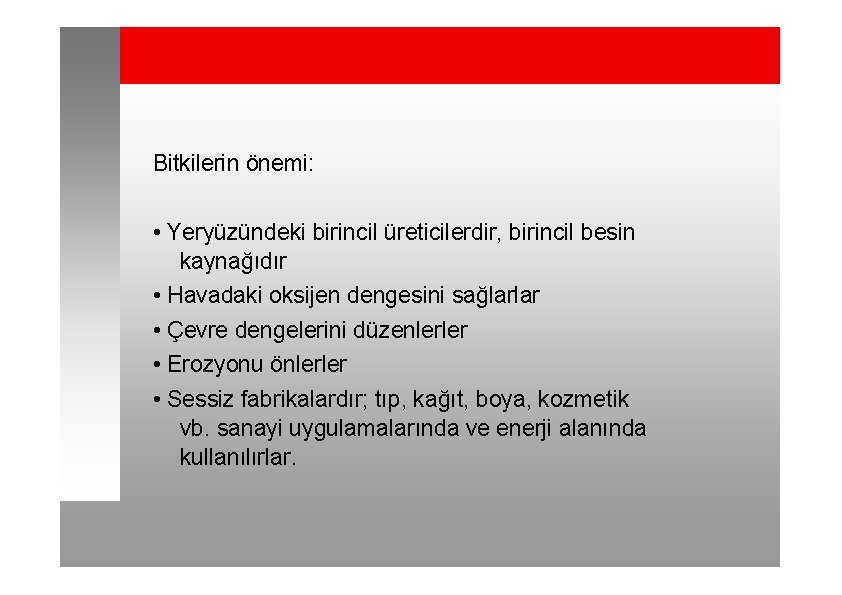 Bitkilerin önemi: • Yeryüzündeki birincil üreticilerdir, birincil besin kaynağıdır • Havadaki oksijen dengesini sağlarlar