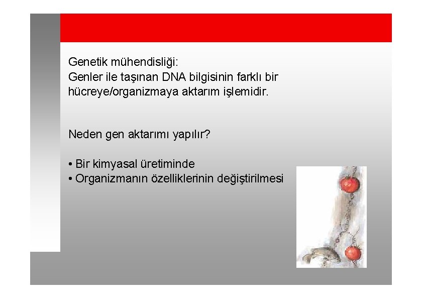 Genetik mühendisliği: Genler ile taşınan DNA bilgisinin farklı bir hücreye/organizmaya aktarım işlemidir. Neden gen