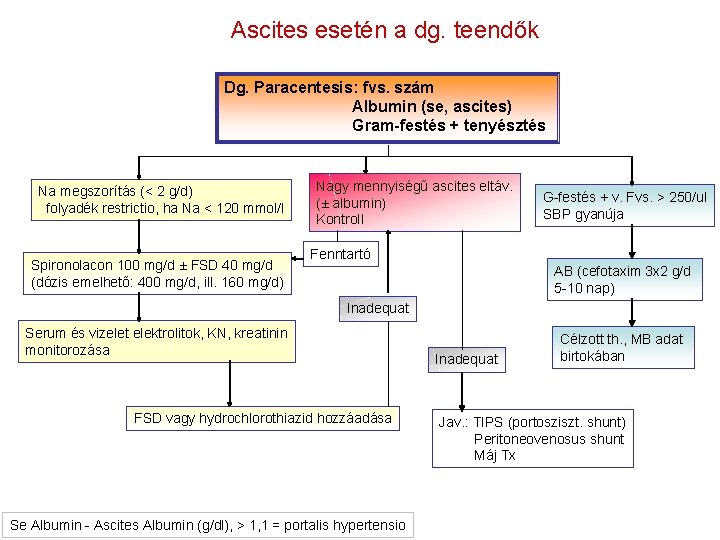 Ascites esetén a dg. teendők Dg. Paracentesis: fvs. szám Albumin (se, ascites) Gram-festés +