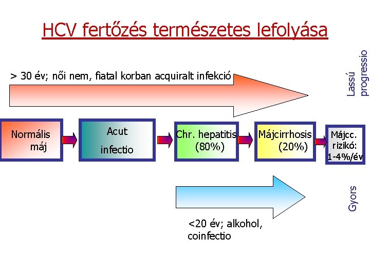 Lassú progressio HCV fertőzés természetes lefolyása > 30 év; női nem, fiatal korban acquiralt