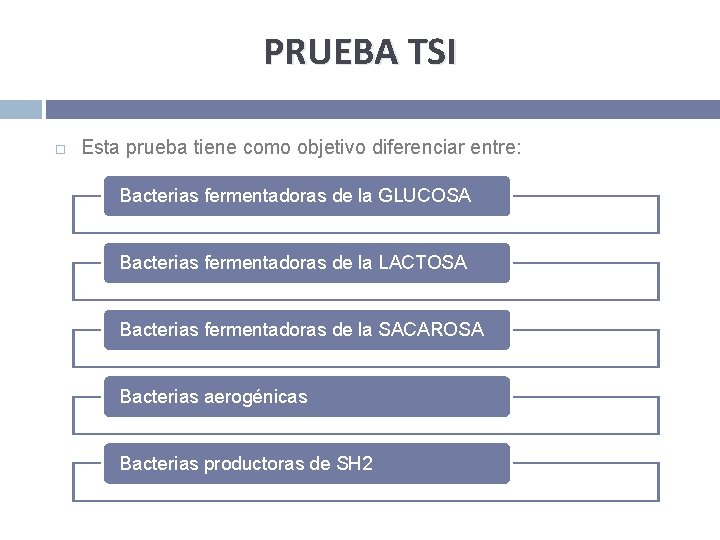 PRUEBA TSI Esta prueba tiene como objetivo diferenciar entre: Bacterias fermentadoras de la GLUCOSA