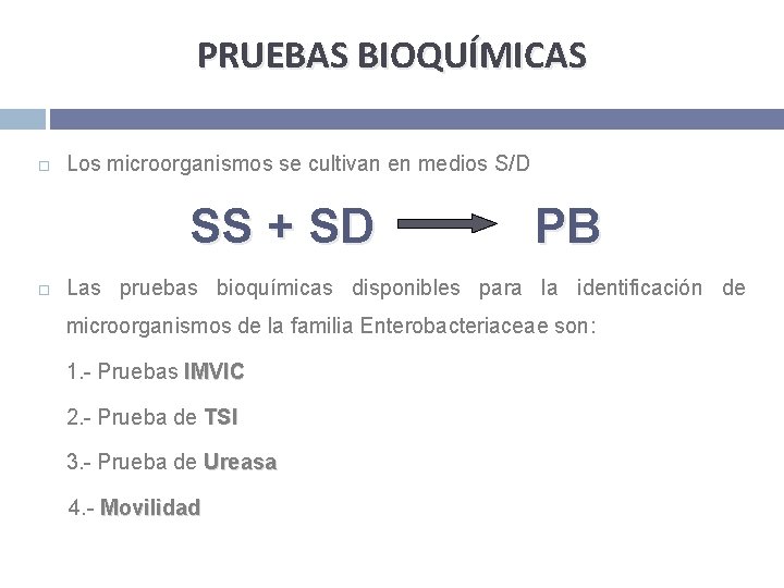 PRUEBAS BIOQUÍMICAS Los microorganismos se cultivan en medios S/D SS + SD PB Las