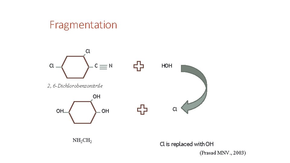 12 6/23/2014 Fragmentation Cl Cl C N HOH 2, 6 -Dichlorobenzonitrile OH OH OH