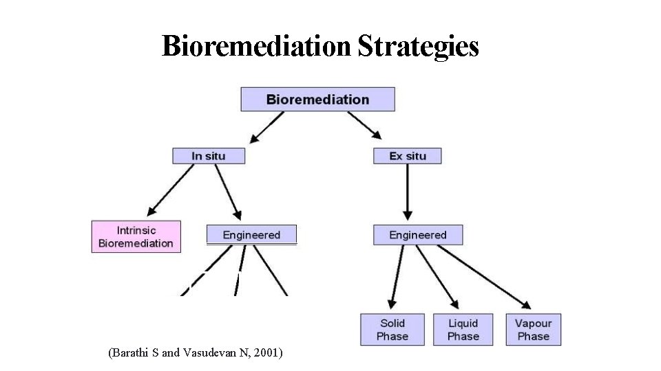25 6/23/2014 Bioremediation Strategies (Barathi S and Vasudevan N, 2001) 