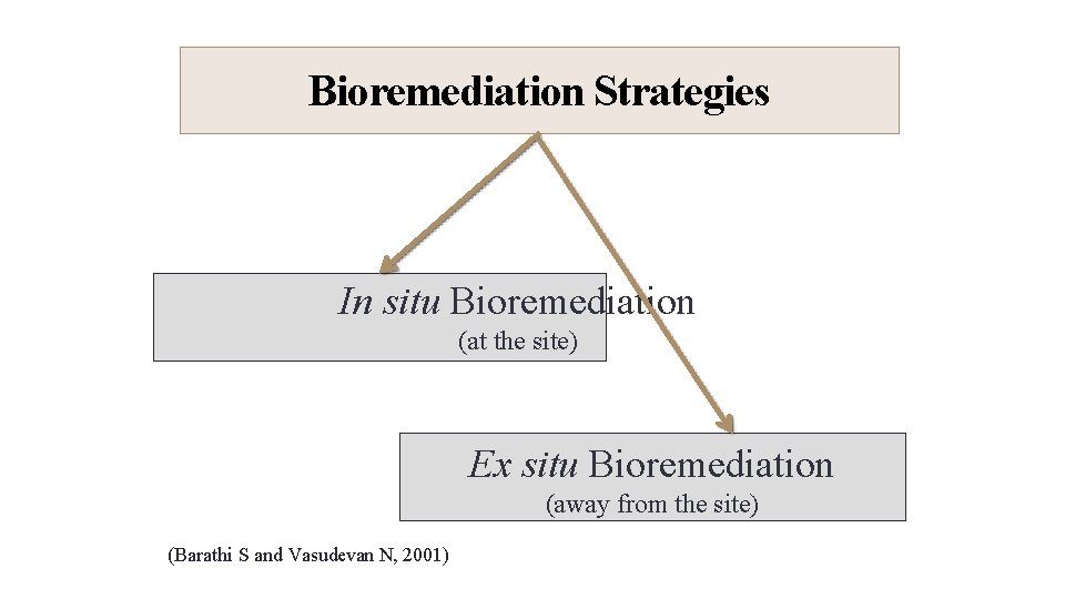 26 6/23/2014 Bioremediation Strategies In situ Bioremediation (at the site) Ex situ Bioremediation (away