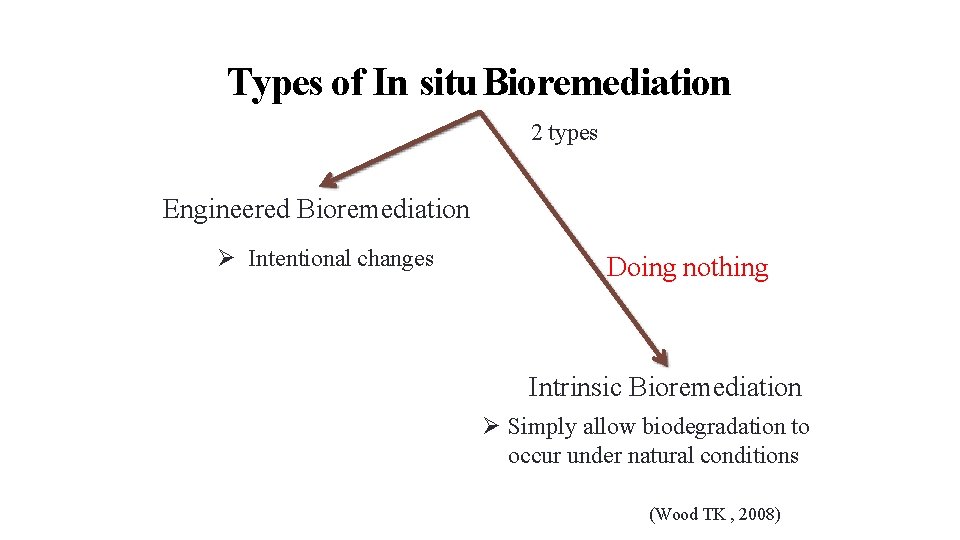 28 6/23/2014 Types of In situ Bioremediation 2 types Engineered Bioremediation Intentional changes Doing