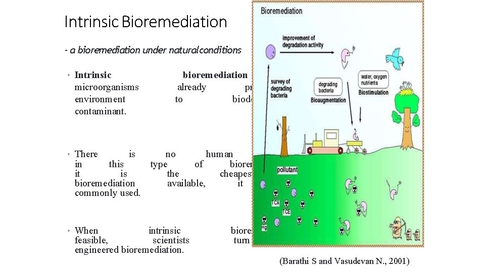 29 6/23/2014 Intrinsic Bioremediation - a bioremediation under naturalconditions • Intrinsic microorganisms environment contaminant.