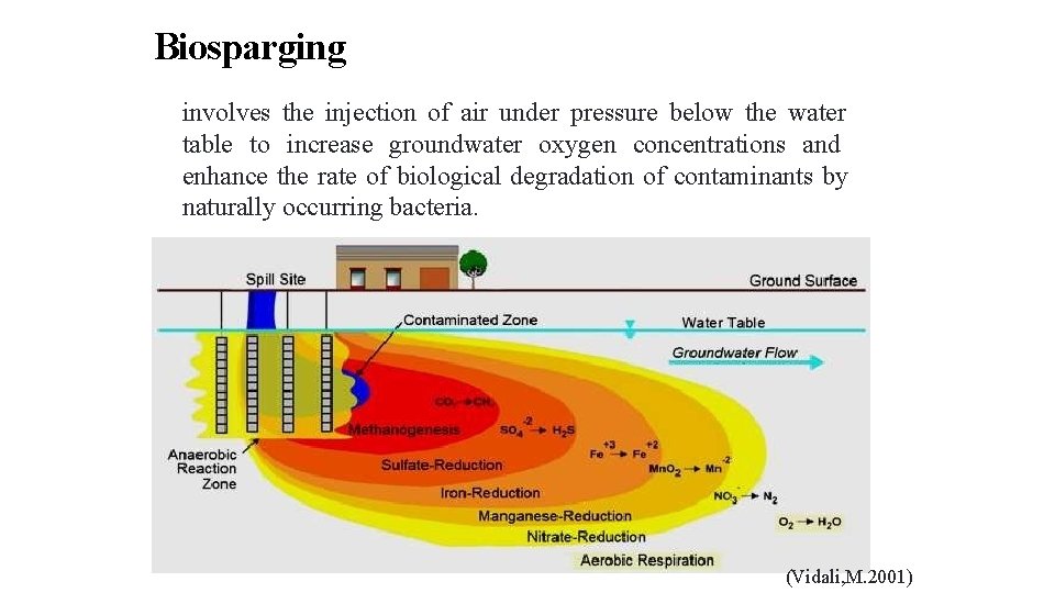 6/23/2014 Biosparging 32 involves the injection of air under pressure below the water table