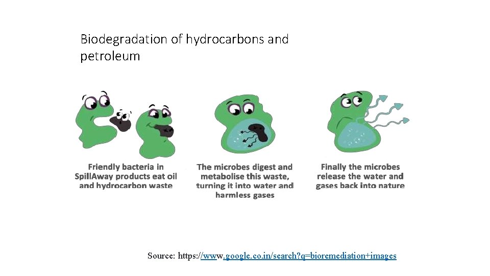 41 6/23/2014 Biodegradation of hydrocarbons and petroleum Source: https: //www. google. co. in/search? q=bioremediation+images