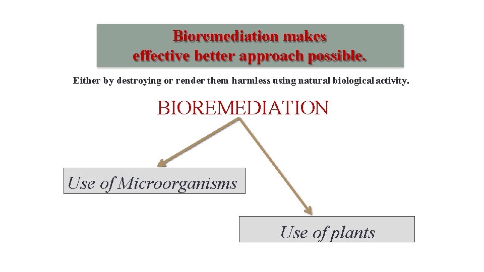 7 6/23/2014 Bioremediation makes effective better approach possible. Either by destroying or render them