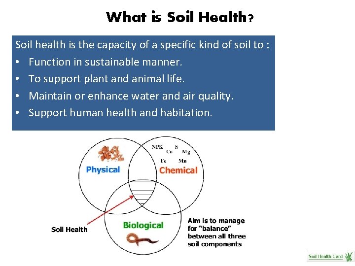 What is Soil Health? Soil health is the capacity of a specific kind of