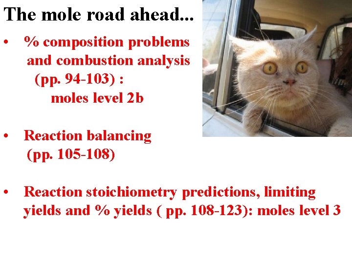 The mole road ahead. . . • % composition problems and combustion analysis (pp.