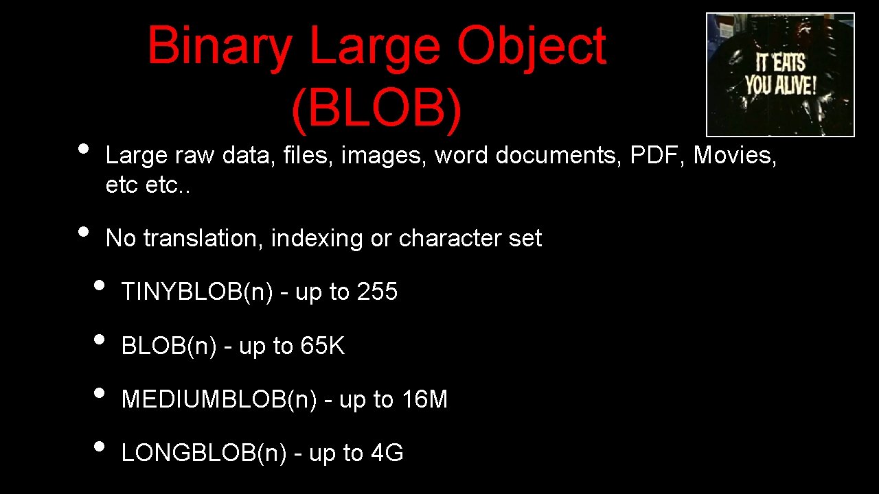 • • Binary Large Object (BLOB) Large raw data, files, images, word documents, • • Binary Large Object (BLOB) Large raw data, files, images, word documents,