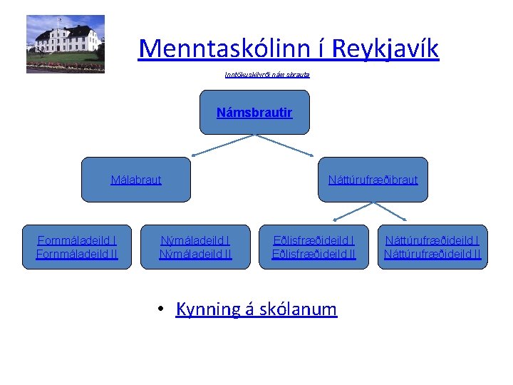 Menntaskólinn í Reykjavík Inntökuskilyrði námsbrauta Námsbrautir Málabraut Fornmáladeild II Nýmáladeild II Náttúrufræðibraut Eðlisfræðideild II