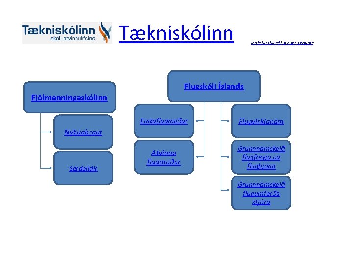 Tækniskólinn Inntökuskilyrði á námsbrautir Flugskóli Íslands Fjölmenningaskólinn Einkaflugmaður Flugvirkjanám Atvinnu flugmaður Grunnnámskeið flugfreyju og