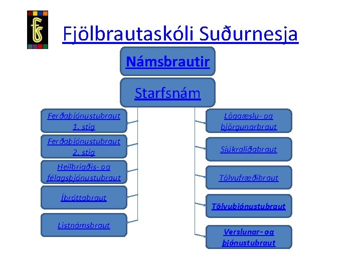 Fjölbrautaskóli Suðurnesja Námsbrautir Starfsnám Ferðaþjónustubraut 1. stig Löggæslu- og björgunarbraut Ferðaþjónustubraut 2. stig Sjúkraliðabraut