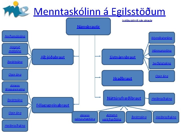 Menntaskólinn á Egilsstöðum Inntökuskilyrði námsbrauta Námsbrautir Ferðamálalína Myndlistarlína Hagnýt málalína Hönnunarlína Alþjóðabraut Listnámsbraut Íþróttalína