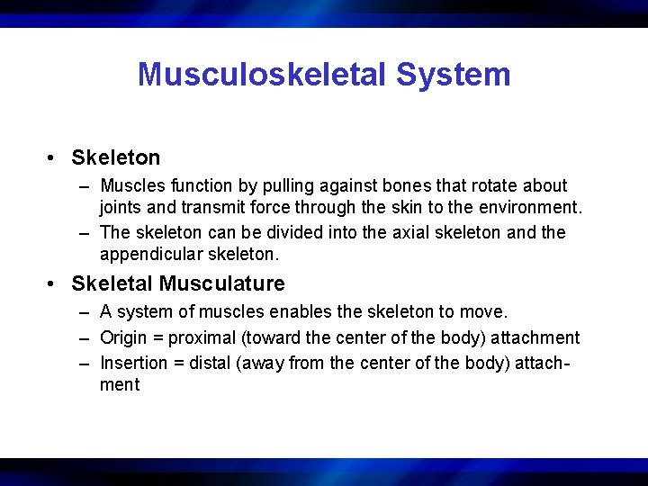 Musculoskeletal System • Skeleton – Muscles function by pulling against bones that rotate about