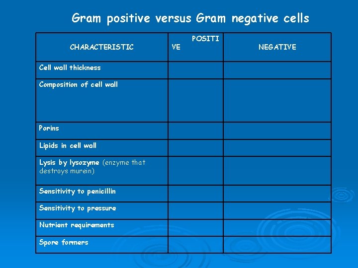 Gram positive versus Gram negative cells CHARACTERISTIC Cell wall thickness Composition of cell wall