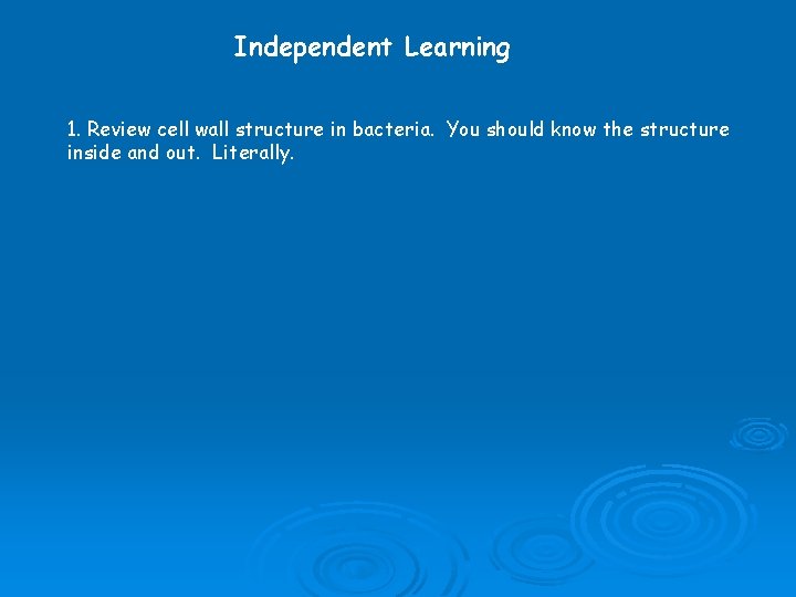 Independent Learning 1. Review cell wall structure in bacteria. You should know the structure