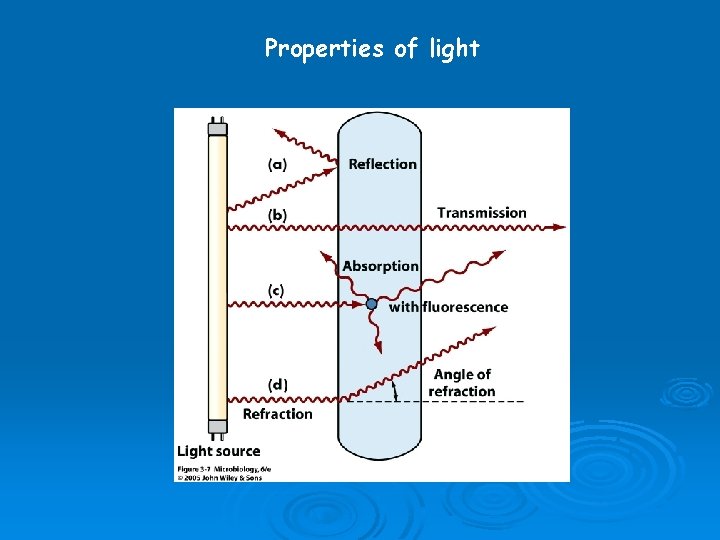 Properties of light 